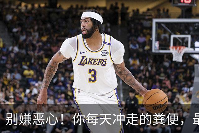 别嫌恶心！你每天冲走的粪便，最后竟全藏进城市这些秘密角落里！